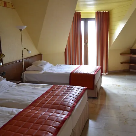 伊舍芬弗莱尔公园酒店 酒店