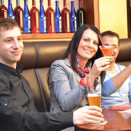 伊舍芬弗莱尔公园酒店 4*