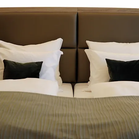 酒店 伊舍芬弗莱尔公园酒店